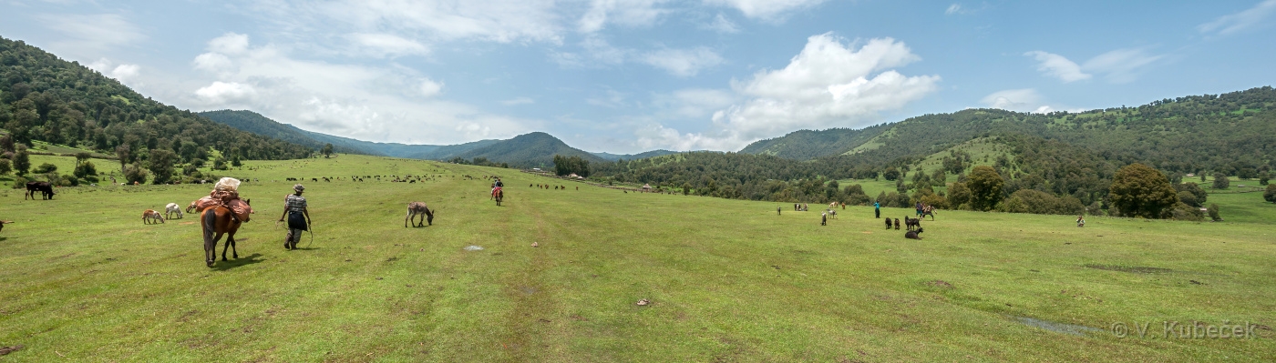 [Group 11]-DSC 6373 DSC 6375-3 images